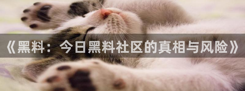 知名名人丑闻新瓜曝光