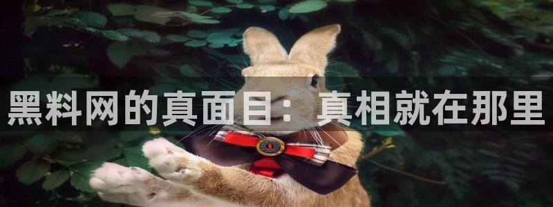 知名名人丑闻新瓜曝光