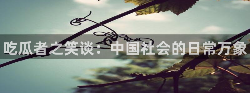 知名名人丑闻新瓜曝光
