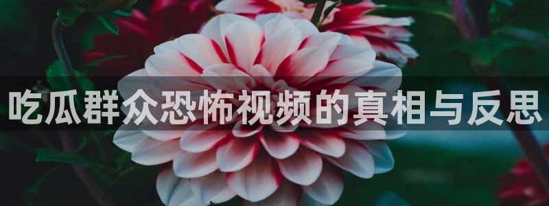 知名名人丑闻新瓜曝光
